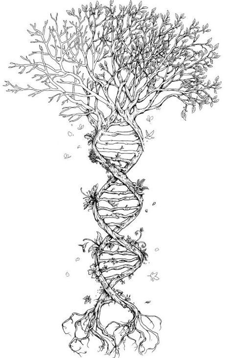 DNA Strand: anatomy and nature Spine. Random Woman, Dna Tree, Dna Tattoo, Family Tree Tattoo, Tree Tattoo Designs, Tree Of Life Tattoo, Spiritual Tattoos, Desenho Tattoo, Tattoo Life