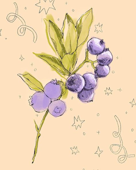 On Wallpaper, Old Style, Blueberries, Art Illustration, Drawing Ideas, Illustrator, Portfolio, Illustrations, Fruit