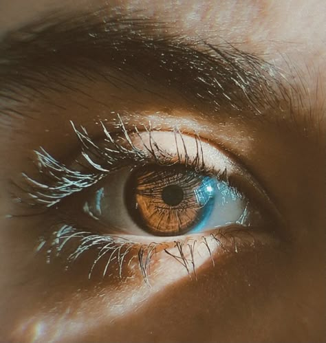 Brown Eyes Aesthetic, Hazel Levesque, Windows To The Soul, Eye Photography, Aesthetic Eyes, Human Eye, Foto Art, Mystic Messenger, Smokey Eye Makeup