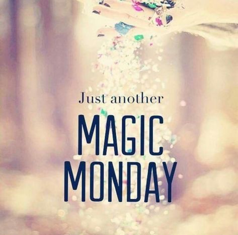 ✨HAPPY MAGIC MONDAY✨ #sacredoaks🌳 #happymonday #onlineboutique #onlineshopping #shoplocal #shopsmall #auburnalabama Monday Funnies, Seasons Quotes, Saturday Quotes Funny, Motivation Quotes Business, Weekly Motivation, Magic Monday, Funny Marketing, Insurance Humor, Saturday Morning Quotes