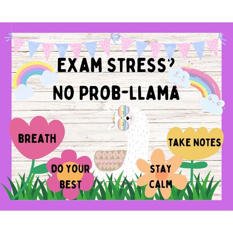 Transform your classroom with our State Exam Encouragement Bulletin Board. Designed to help students navigate exam stress, this printable llama-themed display is both adorable and practical. Featuring a charming llama and the inspiring quote "Exam Stress No Prob," this bulletin board is a fun way to promote positivity and motivation during challenging times. With its calming llama design and supportive message, it creates a welcoming atmosphere where students can feel encouraged and uplifted. Sa Finals Bulletin Board, Bulletin Board Growth Mindset, Exam Encouragement, Exam Motivation Quotes, Testing Motivation, Student Exam, Exam Study Tips, Exam Success, Exam Motivation