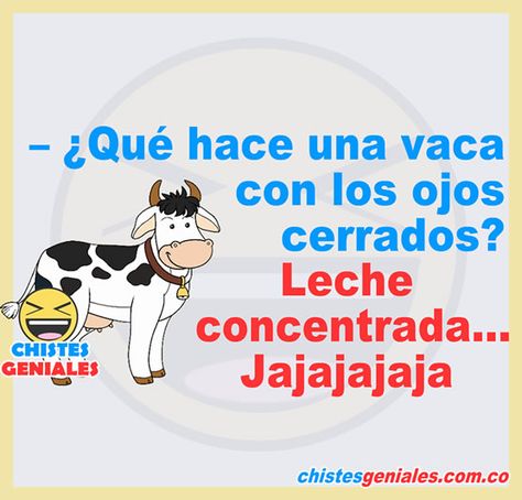 ¿Qué hace una vaca con los ojos cerrados? - Leche concentrada. Jajajaja Kid Friendly Memes, Funny Spanish Jokes, Spanish Jokes, Mexican Humor, Funny Spanish Memes, Sarcastic Jokes, Corny Jokes, Friend Memes, Spanish Humor