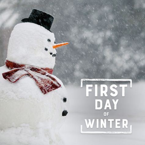 Happy first day of winter—the perfect time of year to make a snowman! ⛄ And no snowman is complete without an orange 🥕carrot nose. 😃 1st Day Of Winter, Happy First Day Of Winter, Mindfulness Classroom, Good Morning Winter, Snow Fort, Basketball Goal, First Day Of Winter, Merino Wool Clothing, Make A Snowman