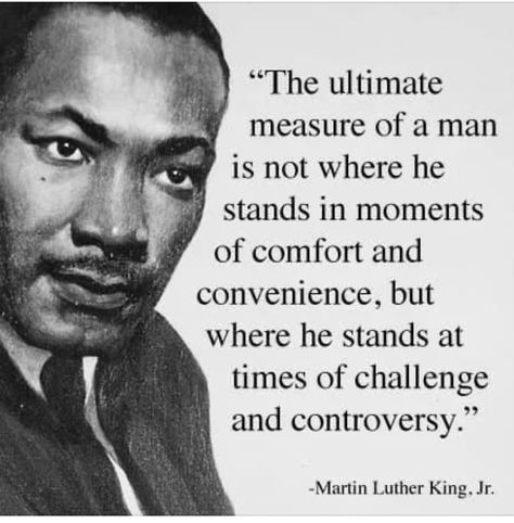 Civil Rights Quotes, Measure Of A Man, Mlk Jr Day, Martin Luther King Quotes, Martin Luther King Jr Quotes, Mlk Quotes, Inspirational Leaders, Of Challenge, Emilie De Ravin