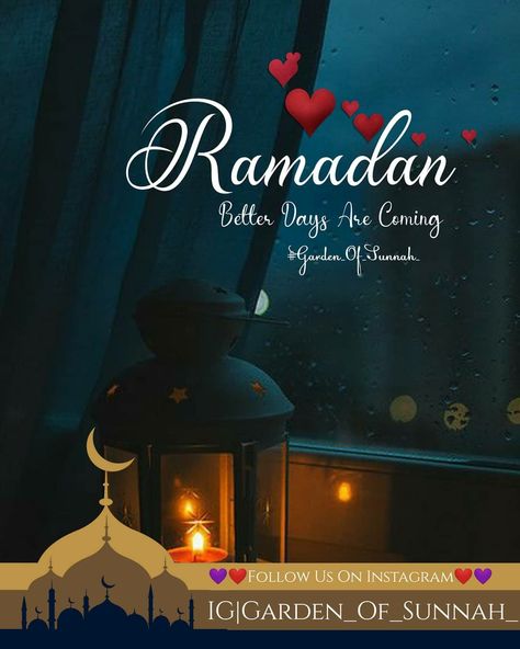 Garden Of Sunnah, Ramzan Kareem Mubarak, Cheap Halloween Crafts, Jumuah Mubarak Quotes, Ramzan Kareem, Ramadhan Quotes, Halloween Bottle Labels, Love Yourself Song, Ramadan Wishes