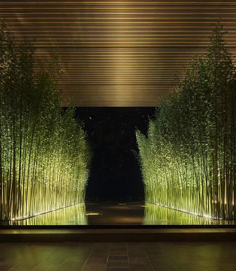 Blitz Design, Terrasse Design, Edition Hotel, Landscape Lighting Design, Bamboo Garden, Backyard Lighting, Interior Garden, Outdoor Landscaping, Landscape Lighting