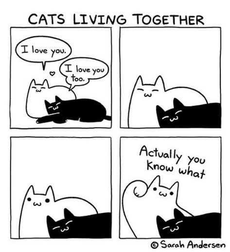 Sarah Andersen, Cat Jokes, Cat Hacks, Cat Comics, Funny Cute Cats, Silly Cats, Cute Comics, A Train, Animal Memes