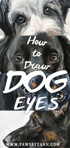 How To Paint Animal Eyes, How To Paint Dog Eyes Acrylic, Dogs Eyes Drawing, Dog Eyes Painting, How To Paint Your Dog, Painting Dog Eyes, How To Paint Dogs Acrylic, Drawing Dog Eyes, How To Draw Animal Eyes