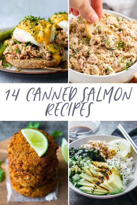 Crockpot Salmon, Canned Salmon Salad, Salmon Meatballs, 40 Aprons, Canned Salmon Recipes, Salmon Recipes Baked Healthy, Canned Salmon, Can Salmon, Garlic Salmon