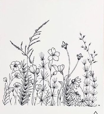 Wildflower Outline Drawing, Wild Flowers Line Drawing, Wild Flower Art Drawings, Field Of Wildflowers Tattoo, Wild Flower Line Art, Flowerbed Drawing, Wildflower Tattoo Stencil, Wild Flower Sketches Simple, Wildflower Sketch Drawings