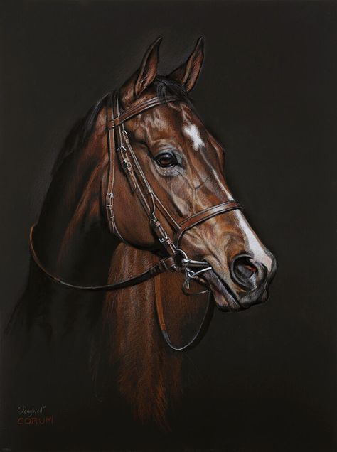 Galleries — Jaime Corum Equine Art Equine Art Pencil Drawings, Horse Oil Painting, Thoroughbred Racehorse, Horse Heads, Horse Anatomy, Beautiful Arabian Horses, Horse Artwork, Horse Wallpaper, Most Beautiful Animals