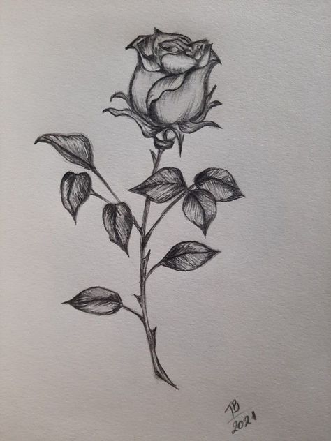 draw rose Pencil Drawings, Rose Sketch, Trending Ideas, Easy Learning, About Art, Top Trending, Flower Drawing, Drawing Sketches, Floral Art