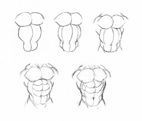 Draw muscle torso by krigg on DeviantArt Muscle Drawing, How To Draw Muscles, Male Body Drawing, Human Body Drawing, Basic Geometry, Drawing Lesson, Human Anatomy Drawing, Human Anatomy Art, Anatomy Sketches