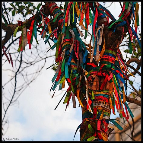 A tree of wishes ...    Tape Bonfim or Bonfim ribbon is a souvenir and charm typical of Salvador, capital of the Brazilian state of Bahia. Wax Sculpture, Wish Tree, Ribbon Tree, Houses Of The Holy, Wishing Tree, Deco Nature, Alternative Christmas Tree, Magic Symbols, Green To Blue