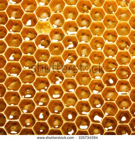 fresh honey in comb Bee Illustration, Honeycomb Pattern, Stunning Interiors, Patterns In Nature, Canvas Home, Wrapped Canvas Art, Pattern Art, Honeycomb, Art Materials