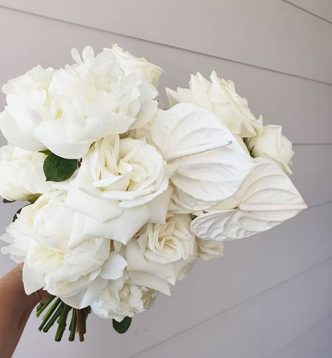 White Anthurium Bouquet, Anthurium Bouquet, White Rose Bridal Bouquet, Thailand Beach, Modern Bouquet, Wedding Flowers Roses, Rose Wedding Bouquet, White Bridal Bouquet, White Bouquet