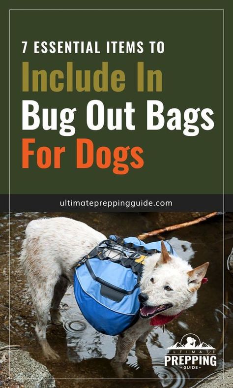 Zombies, Dog Bug Out Bag, Pet Bug Out Bag, How To Pack A Bug Out Bag, Bug Out Bag List Emergency Preparedness, Dog Emergency Go Bag, Big Out Bag List, Survival Bag List, Bug In Prepping