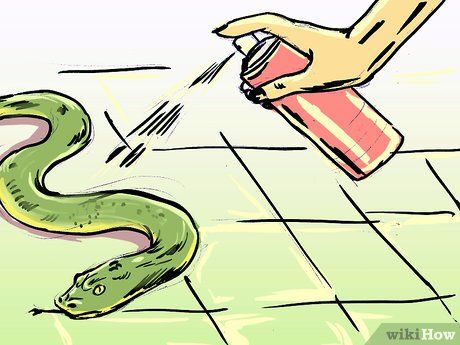 3 Ways to Get Rid of Snakes - wikiHow Snake Deterrent, Snake Repellant Plants, Snake Repellant, Snake Repellent, Repellent Diy, Blueberry Gardening, Get Rid Of Bed Bugs, Garden Snakes, Getting Rid Of Mice