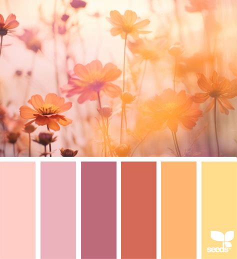 Design Seeds Inspiration Color Palettes, Seeds Color Palette, Colour Magic, Yarn Color Combinations, Seeds Color, Palette Design, Color Schemes Colour Palettes, Palette Ideas, Design Seeds