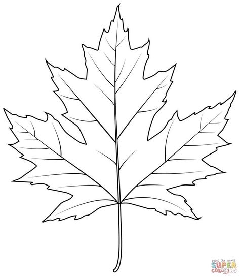 Maple Leaf Coloring Page, Leaf Designs Drawing, Maple Leaf Stencil, How To Draw A Leaf, Maple Leaf Tattoo Design, Fall Leaf Outline, Maple Leaves Drawing, Leaf Patterns Printable, Leafs Drawings