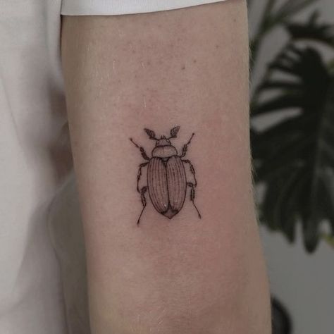 Tiny Beetle Tattoo, Japanese Beetle Tattoo, June Beetle Tattoo, Kafka Tattoo, Beatle Tattoo, Beetle Tattoos, Dumbest Tattoos, Beetle Tattoo, Arm Tats