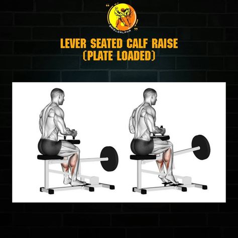 To read more about this leg workout click the link below Calf Raises, Insta Posts, Leg Workout, Click The Link, To Read, Read More, Reading