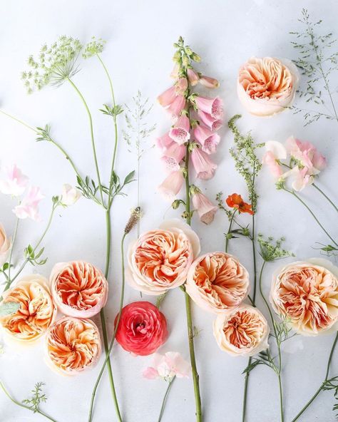 Beautiful Juliet garden roses, with ranunculus and foxglove, shared by Janne Ford! . . . #julietrose #gardenroses #rose #roses #flowers #flowersofinstagram #cutroses #floralinspo #inspiredbypetals #inspiredbynature #loveroses #flowerstagram #instaflowers #rosesofinstagram #dsfloral #floraldesign #floralstyling #davidaustinweddingroses Floral Flatlay, Flower Board, Spring Floral Arrangements, Flower Company, Spring Wedding Flowers, Nothing But Flowers, David Austin Roses, David Austin, Peach Roses