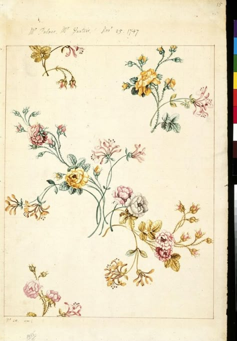 Anna Maria Garthwaite, English Flowers, Vintage Floral Fabric, Digital Borders Design, National Art, Mystical Art, Old Book, Digital Flowers, Botanical Flowers