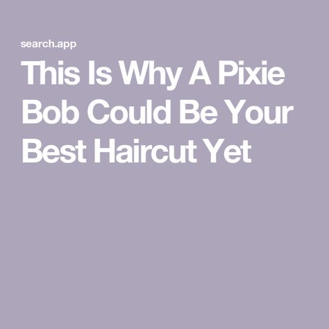 This Is Why A Pixie Bob Could Be Your Best Haircut Yet Growing A Pixie Into A Bob, Short Bob Pixie, Bob Pixie, French Bob, Pixie Bob Haircut, Curl Defining Cream, Edgy Pixie, A Bob, Curly Pixie