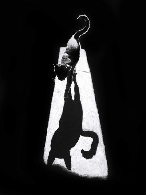 Light And Shadow Photography, Cat Shadow, Black Paper Drawing, Shadow Photography, Shadow Photos, Dramatic Lighting, Shadow Art, Cat Photography, Black White Photos