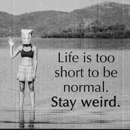 Life is too short to be normal-stay weird! 😮😜 Wierd Quotes, Funny Life Quotes, Funny Life, Stay Weird, Life Quotes To Live By, Too Short, About Life, Quotes To Live By, Life Is