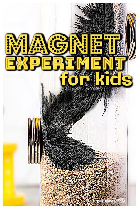 Magnets Activities, Magnet Science Experiment, Magnet Lessons, Magnet Experiments, Apple Science Experiments, Summer Science Activities, Summer Science Experiments, Simple Science Experiments, Magnet Science