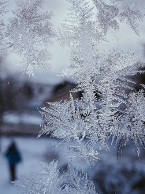 Winter Ice Icy Winter Aesthetic, Winter Kingdom Aesthetic, Ice Astethic, Cryokinesis Aesthetic, Ice Powers Aesthetic, Ice Magic Aesthetic, Winter Fantasy Aesthetic, Winter Court Aesthetic, Ice Queen Aesthetic