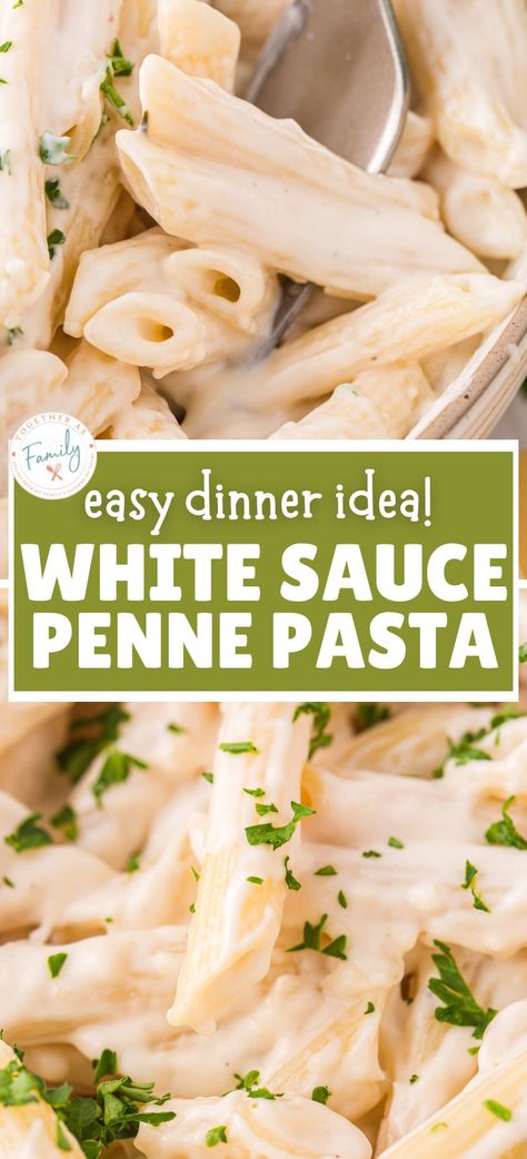 Easy Homemade Pasta Sauce White, Pasta Bake White Sauce, Easy Pasta Recipes White Sauce, White Pasta Sauce Recipe Milk, White Italian Sauce Recipes, White Sauce Hamburger Pasta, Pena Pasta Recipes, White Pasta With Chicken, Shrimp White Sauce Pasta