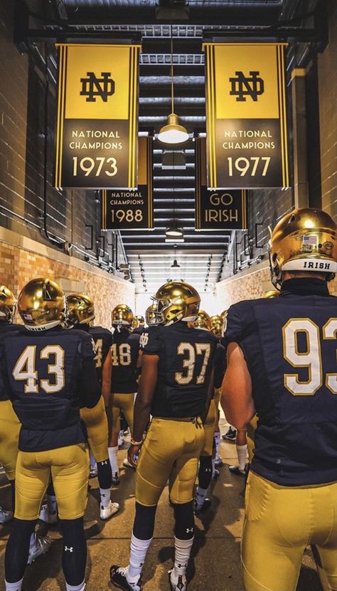 Notre Dame Football Aesthetic, Notre Dame Football Wallpapers, Ncaa Football Wallpapers, American Football Aesthetic Wallpaper, College Football Wallpaper, College Football Aesthetic, Notre Dame Wallpaper, Norte Dame Football, Football Dream