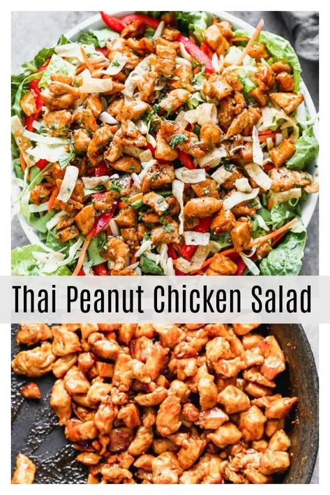 Thai Peanut Chicken Salad - Cooking for Keeps Peanut Chicken Salad, Sesame Vinaigrette, Delicious Healthy Salads, Healthy Lunch Salad, Dinners Healthy, Thai Chicken Salad, Wonton Noodles, Thai Peanut Chicken, Thai Peanut