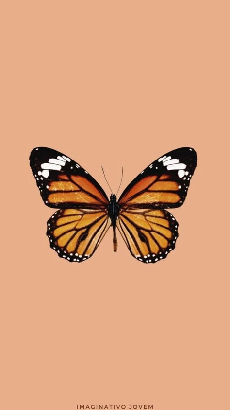 Brown Buterfluffy, Twister Tattoo, Circular Canvas Painting, Orange And Black Butterfly, Butterfly Tattoos On Arm, Butterfly Art Drawing, Lock Screen Backgrounds, Girl Iphone Wallpaper, Butterfly Background