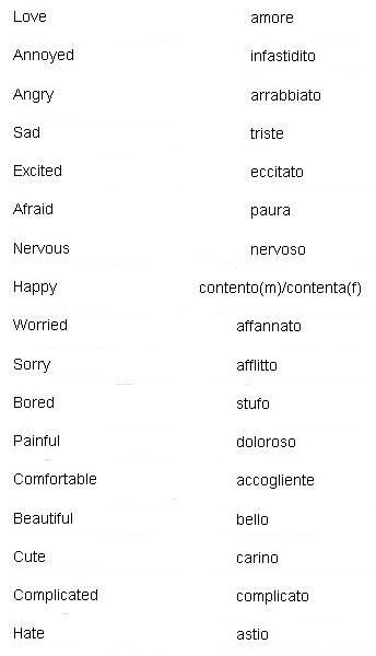 Italian Words for Emotions and Feelings - Learn Italian Words For Emotions, Foreign Phrases, Italian Study, Speak Italian, Learn To Speak Italian, Learn Brazilian Portuguese, Italian Grammar, Portuguese Lessons, Italian Vocabulary