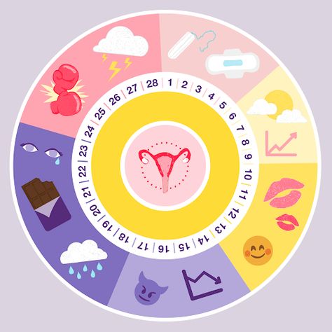 Menstrual Cycle Chart, Girl To Girl, Menstrual Calendar, Period Calendar, Menstrual Cycle Phases, The Menstrual Cycle, Herbs For Health, Health Lessons, 28 Days