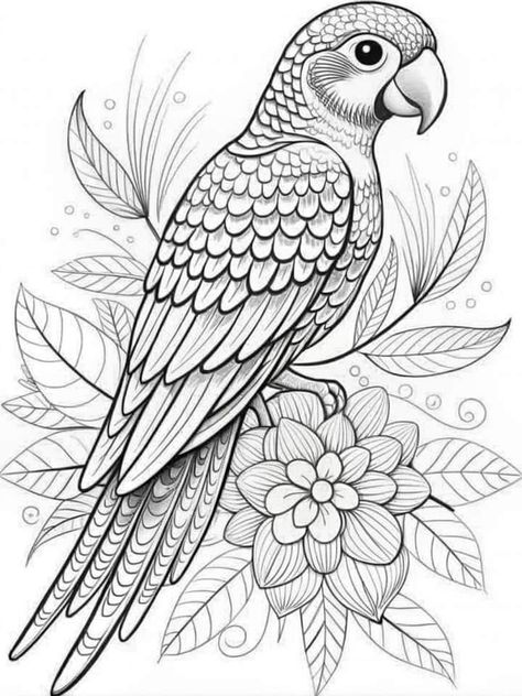 Bird Drawings Peacock, Parrot Colouring Pages, Parrot Coloring Page, Birds Coloring Pages, Peacock Coloring Pages, Parrot Drawing, Peacock Drawing, Bird Coloring, Koi Fish Drawing