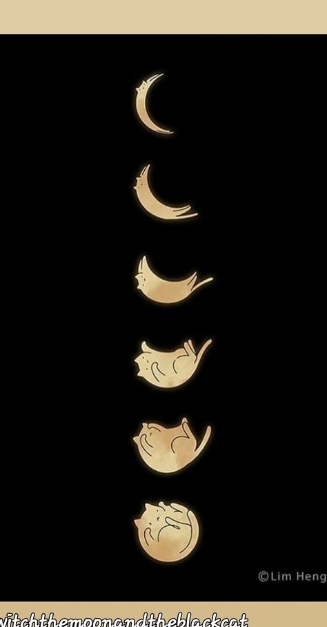 Kitty Moon Tattoo, Moon Phase Cat Tattoo, The Phases Of The Moon Tattoo, Flower Cycle Tattoo, Cat Moon Phases Tattoo, Asian Moon Tattoo, Moon Phases With Stars Tattoo, Cat Sun And Moon Tattoo, Moon Cycle Tattoo Designs