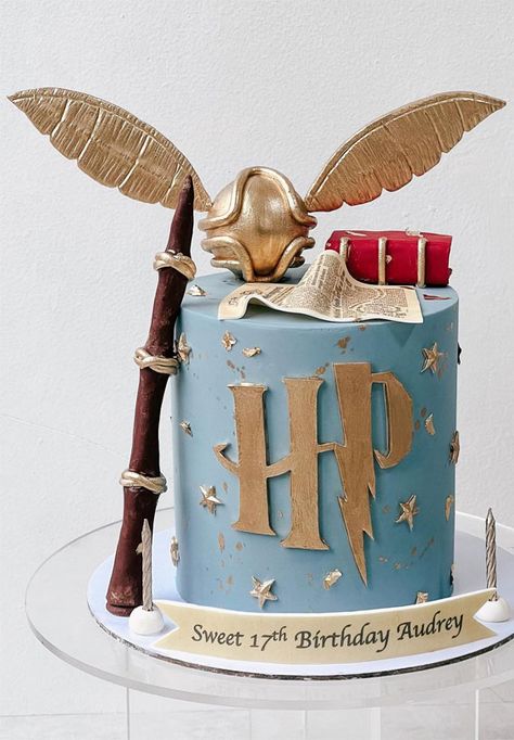 Harry Potter Aesthetic Cake, Harry Potter Dort, Slytherin Cake, Blue Harry Potter Cake, Harry Potter Cakes Birthday, Harry Potter Cakes, Harry Potter Cake Ideas, Pastel Harry Potter, Happy Birthday Cake Harry Potter