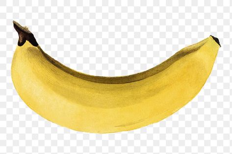 Banana Png, Banana Illustration, Png Fruit, Food Illust, Fruit Banana, Watercolor Collection, Banana Fruit, Free Illustrations, Transparent Png