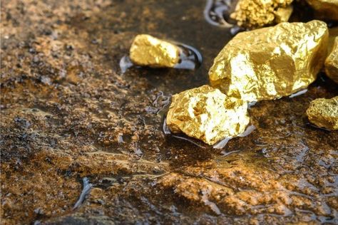 How To Tell If Gold Is Real: 11 Easy Ways To Ensure You Have The Real Thing Gold Deposit, Gold Miners, Small Caps, Bullion Coins, Types Of Gold, Real Gold Jewelry, Gold Mining, Gold Nugget, Gold Rush