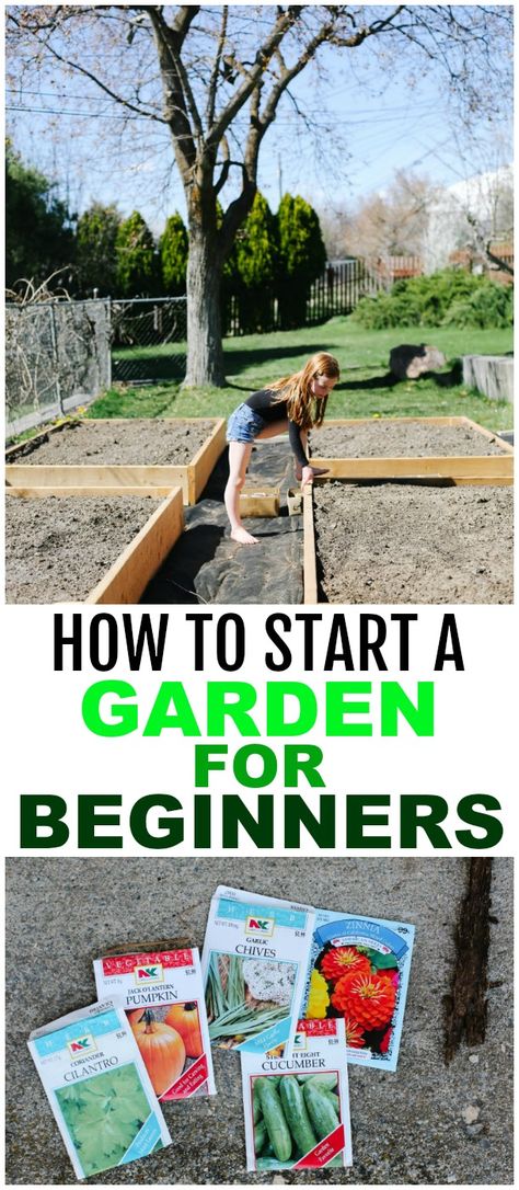 Starter Garden, Garden For Beginners, Start A Garden, Garden Boxes Diy, Backyard Garden Layout, Vegetable Garden For Beginners, Starting A Vegetable Garden, Backyard Vegetable Gardens, Gardening 101