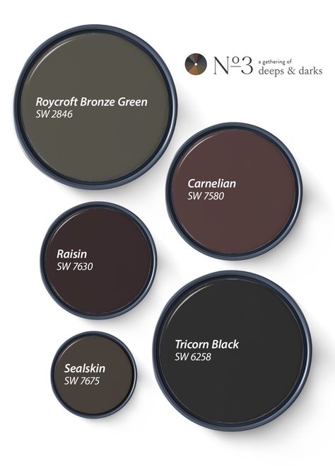 Our Favorite Deeps and Darks of 2024 | Tinted Deep Color Bathroom, Moody Cottage Paint Colors, Moody Home Paint Colors, Sherwin Williams Dark Moody Colors, Dark Clove Sherwin Williams Paint, Sherwin Williams Dark Bedroom Colors, Bathroom Dark Paint Colors, Moody Den Paint Colors, Juniper Berry Paint Color