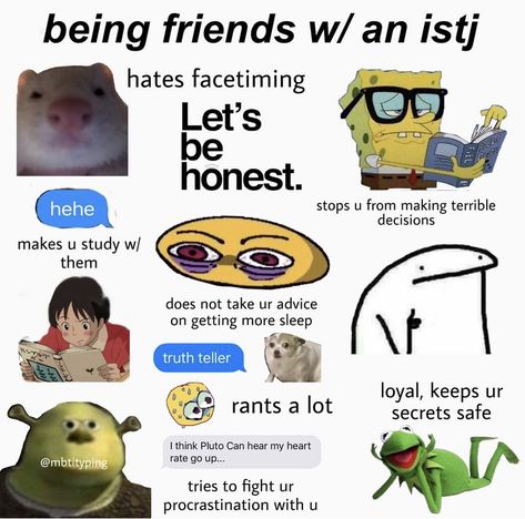 Istj Memes Funny, Istj Personality Characters, Istj Personality Memes, Istj Personality Aesthetic, Istj Things, Istj Type, Istj Aesthetic, Istj Relationships, Istj Mbti