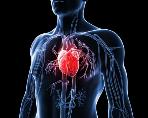 The 4 Heart Disease Conditions You MUST Know About  http://www.womenshealthmag.com/health/heart-disease Penyakit Jantung, Cholesterol Remedies, Coronary Arteries, Heart Problems, Human Heart, Men's Health, Cardiovascular Disease, Heart Health, Lifestyle Changes