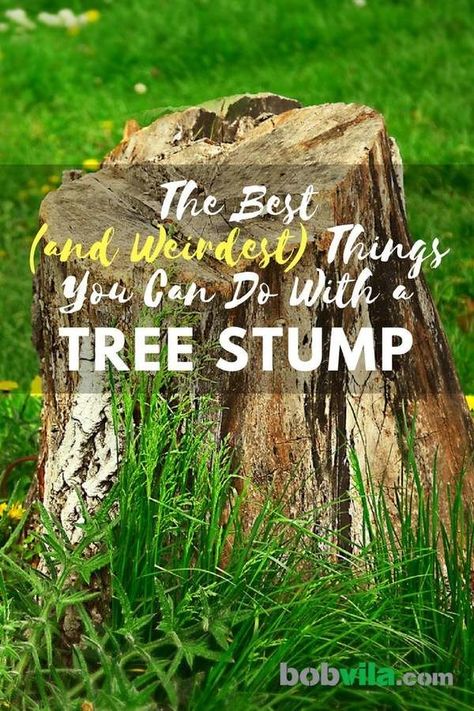 The Best (and Weirdest) Things You Can Do with a Tree Stump Tree Stump Decor, Stump Planter, Stump Ideas, Tree Stump Planter, Log Planter, Landscaping Around Trees, Tree Stumps, Bob Vila, Diy Garden Furniture