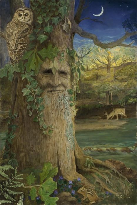 / Creature Fantasy, Tree People, Tree Faces, Tree Spirit, Nature Spirits, Tree Carving, Owl Art, Arte Fantasy, Fairy Art